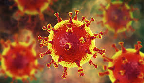 Coronavirus en RD | 841 nuevos contagios y 6 muertos en 24 horas