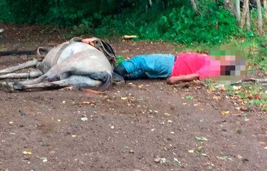 Descarga eléctrica mata a un agricultor y su caballo en El Seibo